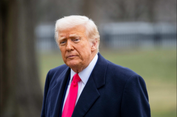 Дональд Трамп и его ожидания от мирных переговоров: перспектива мира для Украины и США