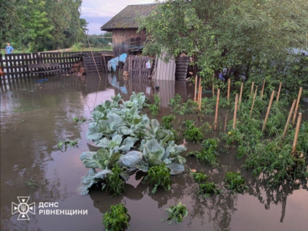 Негода в Україні: Ліквідація наслідків та допомога постраждалим регіонам