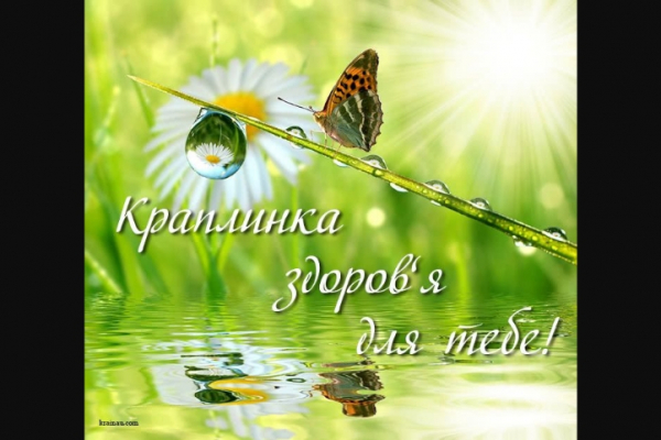 Баклажан: корисні властивості та секрети вибору