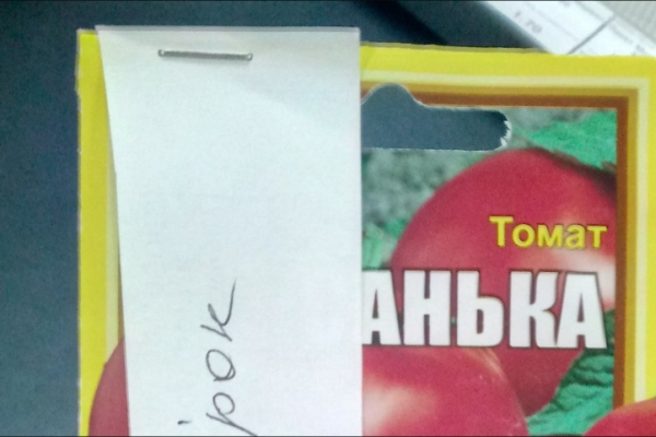 Ефект помідора: чому наші переконання обмежують сприйняття і чому це небезпечно