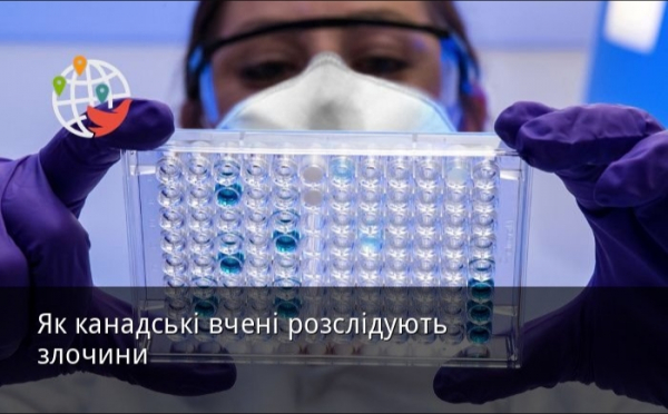 Викриття масштабних схем привласнення та корупції в Україні: нові підозри та викриття