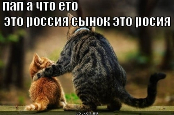 Звісно! Ось розширена стаття на основі наданого тексту: